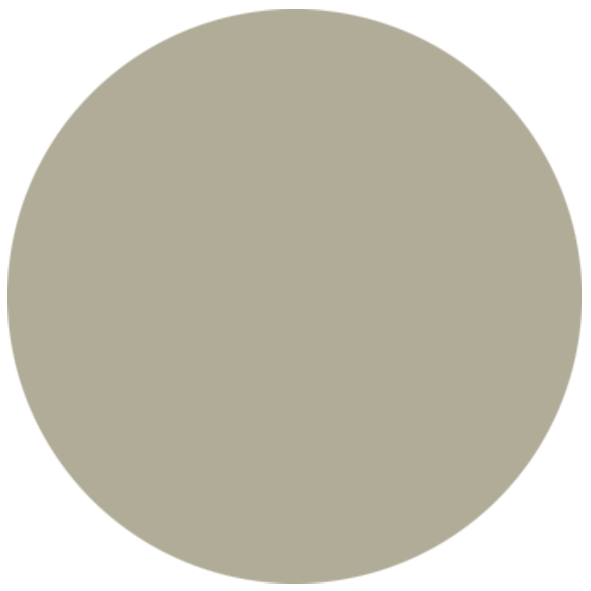 Color swatch 488 Grège