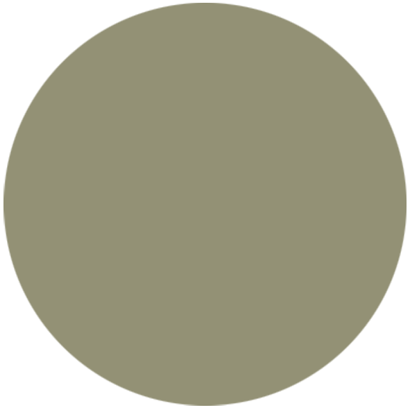 Color swatch 493 Vert Lichen